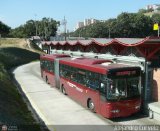 Bus CCS 1044, por Alejandro Curvelo