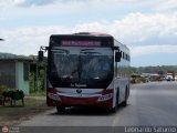 Bus Taguanes 17