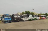 Garajes Paradas y Terminales Valencia Equipamientos y Construcciones RL Interbus Iveco Serie TurboDaily
