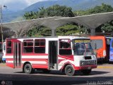 A.C. Lnea Autobuses Por Puesto Unin La Fra 33, por Pablo Acevedo