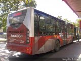 Bus CCS 1304, por Nayder Castro