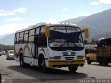 Colectivo Los Andes 14 Servibus de Venezuela Milenio Urbano Iveco 100E18