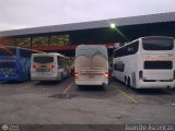 Garajes Paradas y Terminales Caracas Busscar Jum Buss 360T Mercedes-Benz O-400RSE