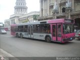 Metrobus Cuba 638 Maz 107  