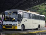 Transportes Integrales C.A. 0999, por Ricardo Ugas