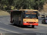 Transporte Unido (VAL - MCY - CCS - SFP) 044, por Pablo Acevedo