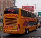 Transportes Molina Per S.A.C. 951