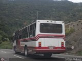 Transporte Colectivo Camag 90 por Jesus Valero