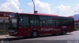 Bus Vargas 6878