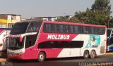 Transportes y Servicios Molibus (Per) 1000, por Leonardo Saturno