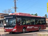 Bus MetroMara 081