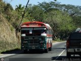 Autobuses de Tinaquillo 21, por Pablo Acevedo