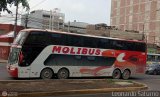 Transportes y Servicios Molibus (Per) 955, por Leonardo Saturno