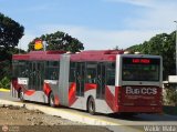 Bus CCS 1013, por Waldir Mata