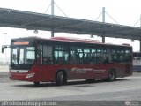 Bus Vargas 6953