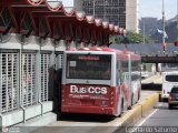 Bus CCS 1003, por Leonardo Saturno