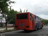 Transporte Guacara 0017, por Jesus Valero