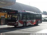 Bus CCS 1182, por Alfredo Montes de Oca