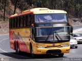 Transporte Unido (VAL - MCY - CCS - SFP) 038, por Pablo Acevedo