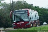 Bus Tchira 93, por Pablo Acevedo