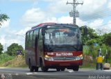 Bus Tchira 67