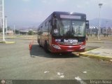 Bus Tchira 44, por Jerson Nova
