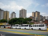 Garajes Paradas y Terminales Caracas, por Aly Baranauskas