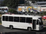 S.C. Lnea Transporte Expresos Del Chama 998, por Oliver Castillo