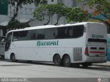 Transporte Bucaral 12 por @AlfredobusOFC