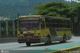 Transporte Guacara 0159