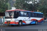 Transporte Unido (VAL - MCY - CCS - SFP) 056, por Waldir Mata