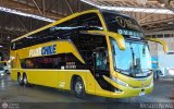 Buses Pluss Chile (Chile) 49, por Jerson Nova