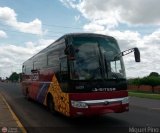 Sistema Integral de Transporte Superficial S.A 6525, por Miguel Pino