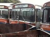 DC - Autobuses de Antimano 199