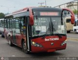 Bus Tchira 321