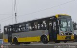 Per Bus Internacional - Corredor Amarillo 2040