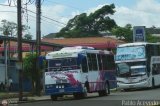 A.C. Lnea Autobuses Por Puesto Unin La Fra 01, por Pablo Acevedo
