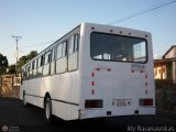 Ruta Metropolitana de Ciudad Guayana-BO 779 por Aly Baranauskas
