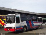 Expresos Pegamar 0013, por Bus Land