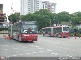Bus CCS 0126-0127, por Edgardo Gonzlez