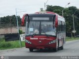 Bus CCS 14-31, por Pablo Acevedo