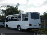Ruta Metropolitana de Ciudad Guayana-BO 508, por Aly Baranauskas
