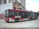 Bus CCS 1009, por Edgardo Gonzlez