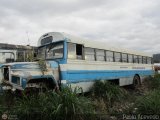 En Chiveras Abandonados Recuperacin  Thomas Built Buses Conventional Ford B-750