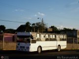 Ruta Metropolitana de Ciudad Guayana-BO 779, por Aly Baranauskas