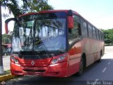Uso Oficial 004 Reco Citybus International 3000RE