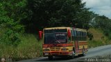Autobuses de Barinas 036, por Pablo Acevedo