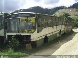 En Chiveras Abandonados Recuperacin 15 Ciferal GLS Bus Volkswagen 16.210 CO