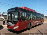 Bus MetroMara 151