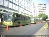 Metrobus Caracas 536, por Edgardo Gonzlez